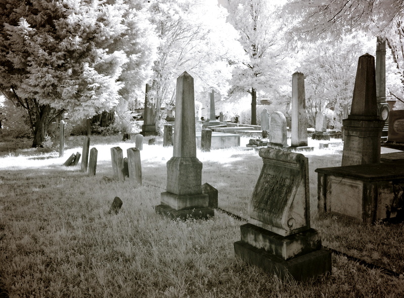 north america, plant, silent, greenwood cemetery, outdoors, no people, resting place, america, spooky, day, greenwood, architecture, tuscaloosa, sw, tombstone