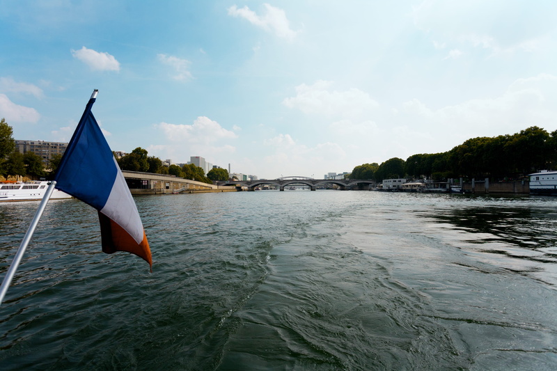 french flag, gliding, independence, nature, flag, american flag, tree, france, nautical vessel, leisure activities, scenics - nature, light, clothing, day