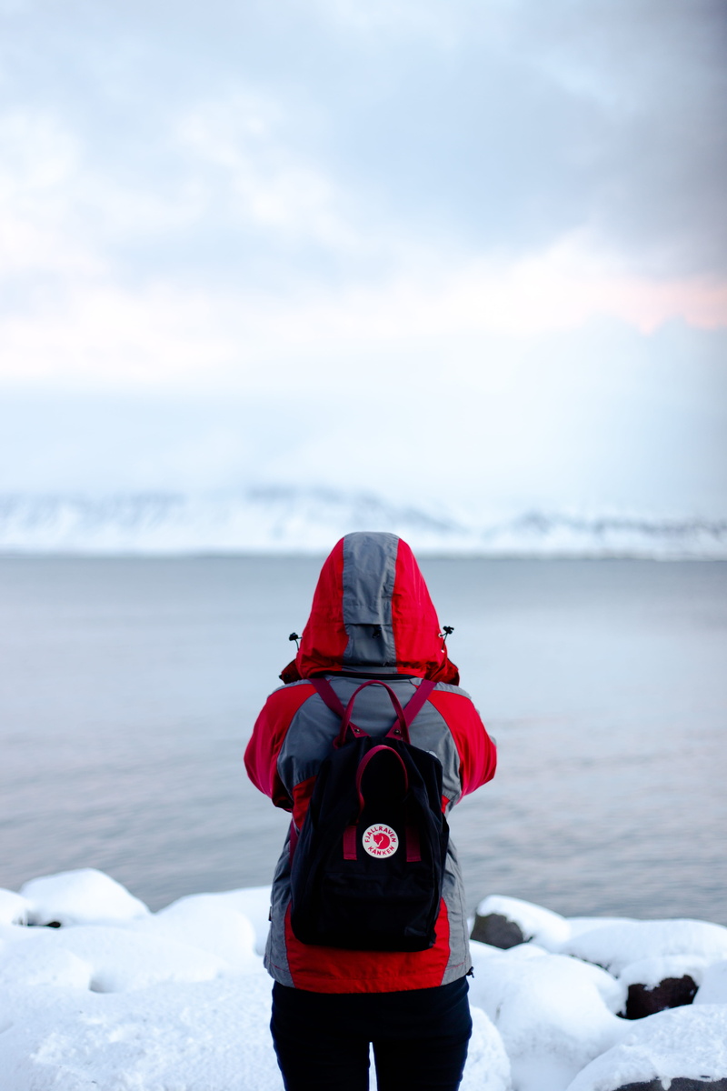 one person, standing, red, beauty in nature, rear view, adventure, leisure activities, hood - clothing, sky, sweatshirt, snow, real people, jacket, day