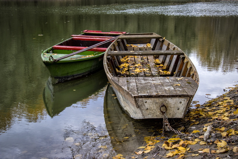 nautical vessel, watercraft, waterfowl, dinghy, obsolete, pier, day, water, fishing boat, vessel, rowboat, tükröződés, egret, reflection, lake, animal