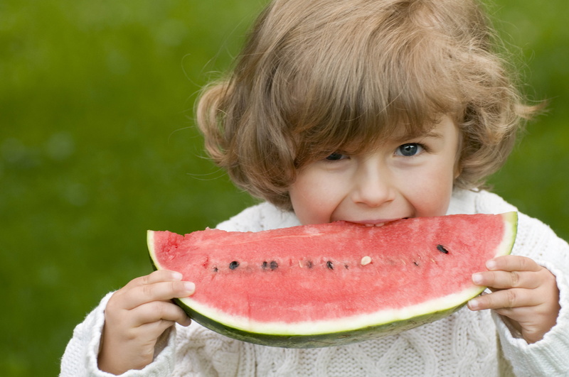 holding, outdoors, childhood, happiness, baby, small, preschool Age, white, offspring, front view, s, one Person, nature, toddler, eating, picnic, caucasian Ethnicity