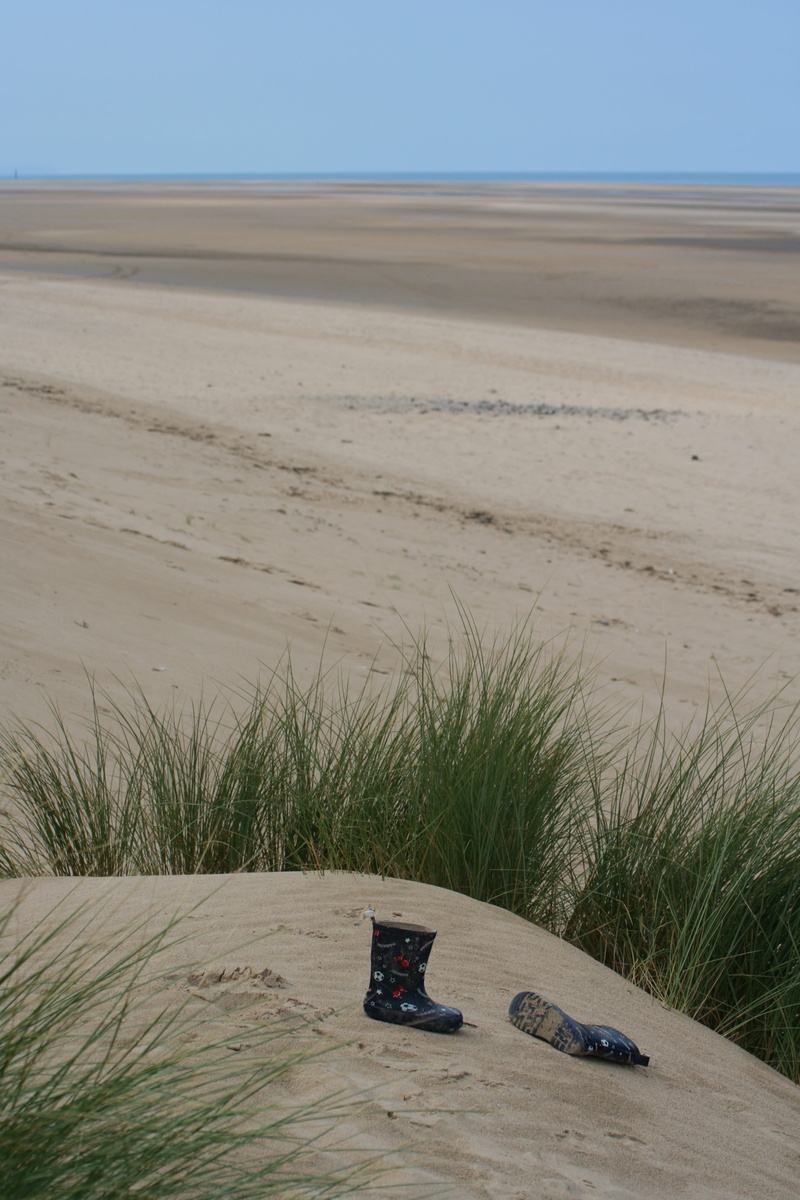 land, tranquility, sea view, wales, day, scenics - nature, tranquil scene, beach, plant, blue sky, horizon, outdoors, sand, grass, arid climate, childs play