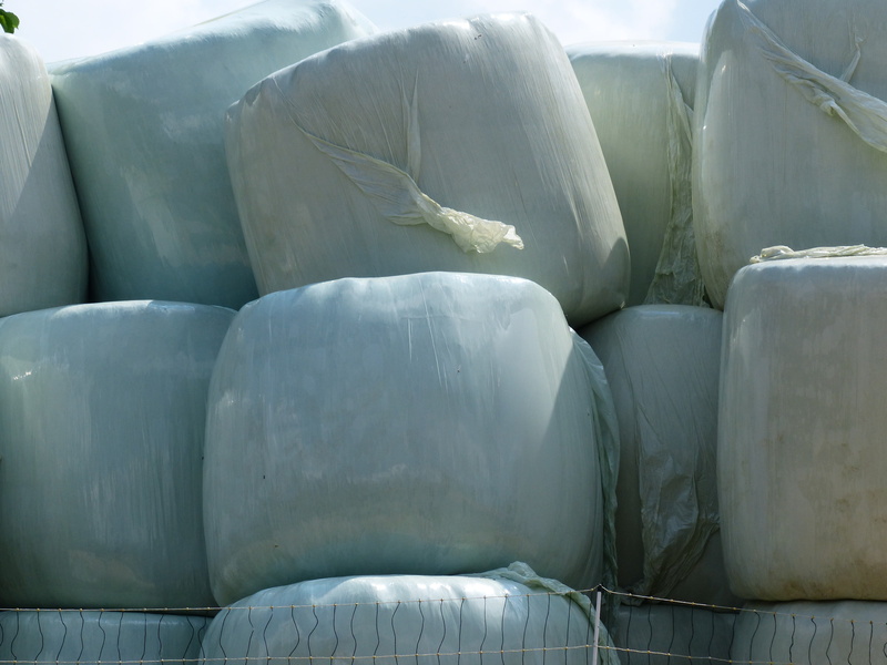 bale, outdoors, sleeve, large group of objects, wrap, freshness, industry, nature, feed stock, 4K, round bales, agricultural economics, pet food, wrapping