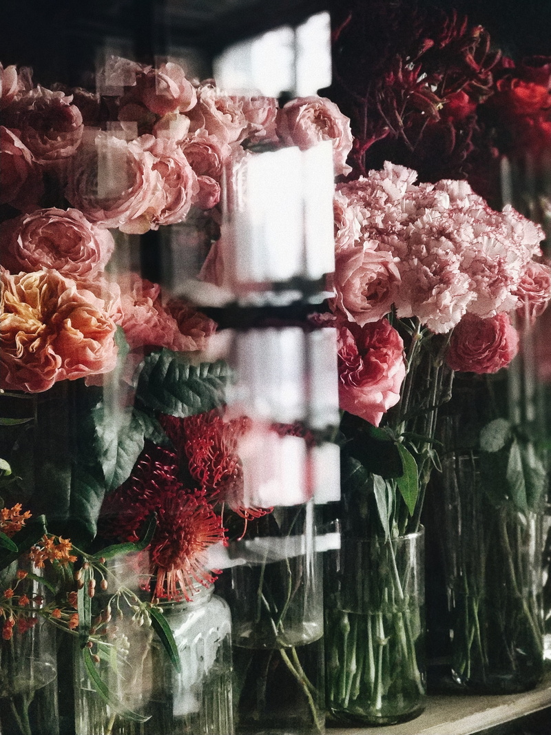 glass - material, flowers, retail, russia, potted plant, bouquet, red, transparent, freshness, flower head, flora, reflection, 4K, still life, cabinet