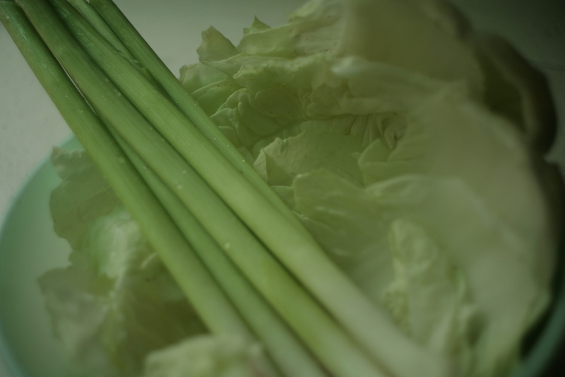 head cabbage, indoors, organic, wellbeing, raw food, celery, plant, close-up, no people, kohlrabi, green, food, leek, sliced, studio shot, plastic wrap