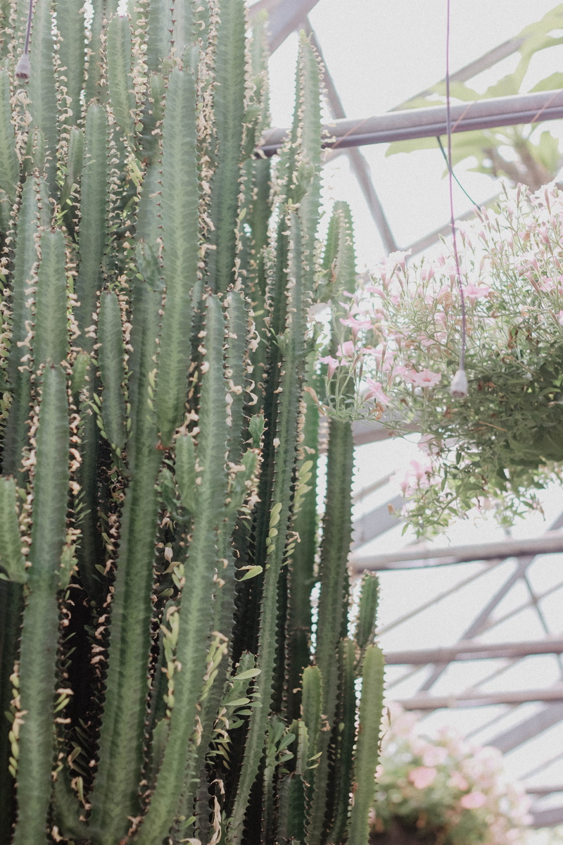 bridge, quilt, plant nursery, arbour, botany, rope bridge, agavaceae, bar stool, stone wall, plastic wrap, greenhouse, wall, green color, flowering plant