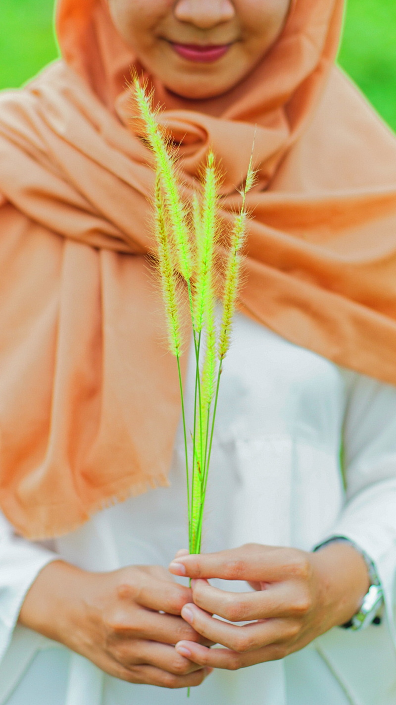 food, grass, blossom, real people, orange, wheat, women, hijab, human hand, lifestyles, hand, pollen, plastic wrap, 2K, holding, leisure activity, close-up