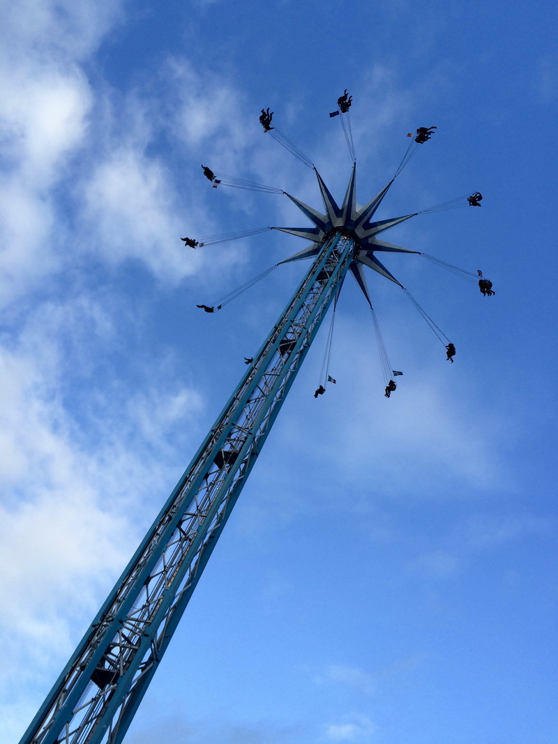 ride, park, roller coaster, vehicle, enjoyment, utility pole, leisure activities, animal, low angle view, transportation, flying, outdoors, aircraft, motion