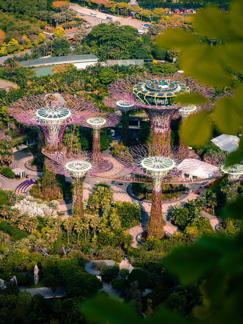 bazaar, ferris wheel, mountain, plant, landscape, solid, carousel, urban, green color, arbour, tree, aerial view, theme park, 4K, outdoors, amusement park