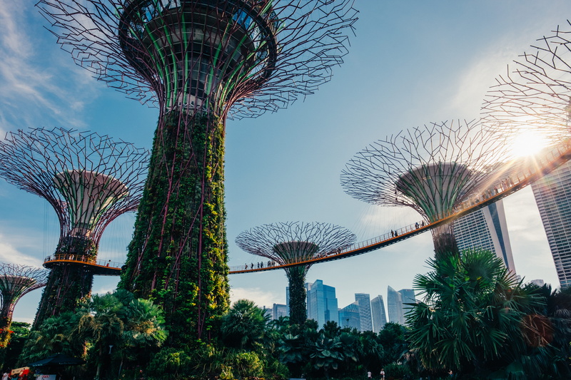 singapore, machine, amusement park ride, roller coaster, blossom, spoke, coaster, tree, amusement park, vegetation, theme park, nature, gardens, travel