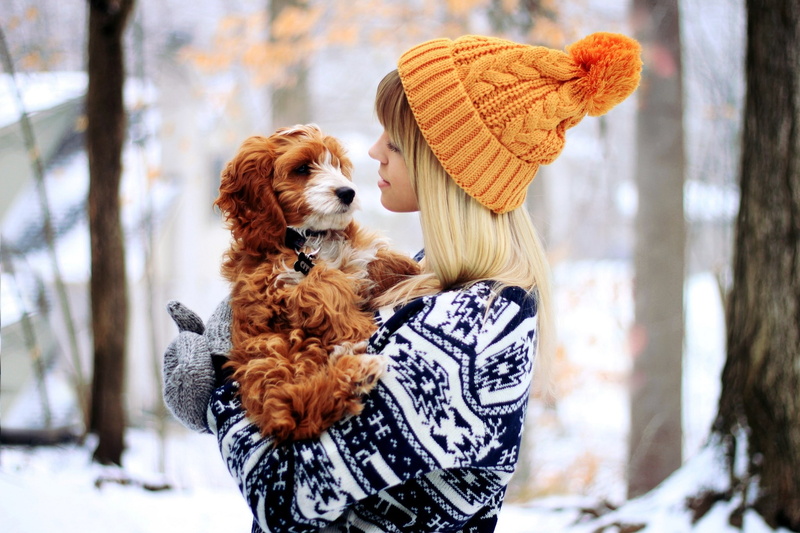 women, bonnet, snow, 1080P, dog, gloves
