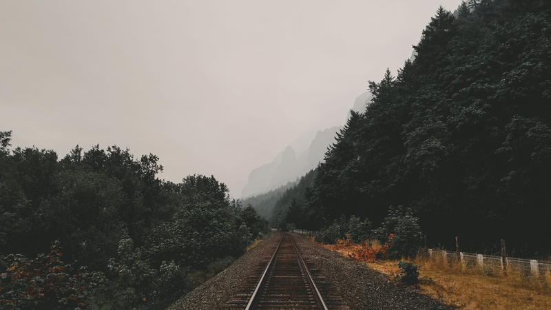 rail transportation, plant, train, railtrack, raailroad, vanishing point, nature, direction, railroad track, beauty in nature, trees, transportation, tree
