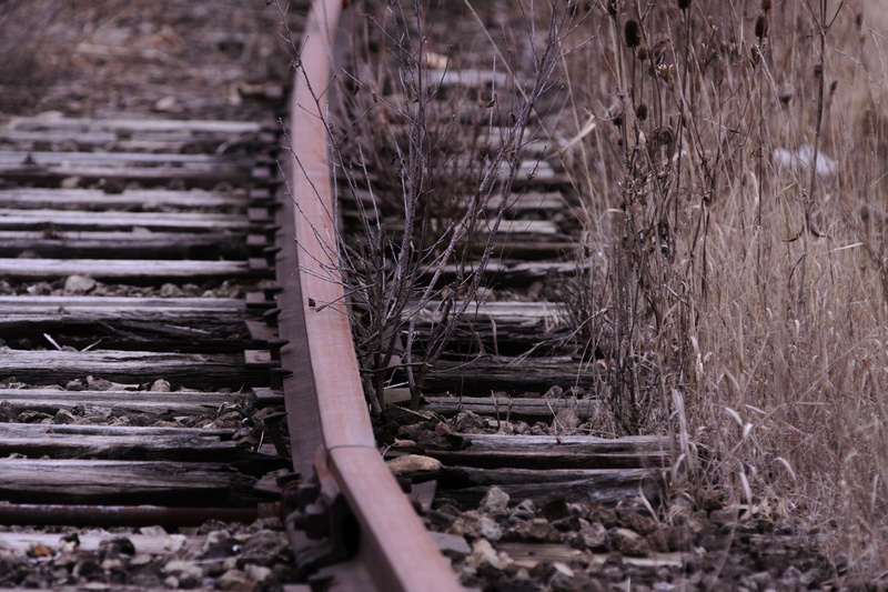 day, nature, surface level, rail, deterioration, damaged, 4K, land, no people, plant, wood - material, metal, weathered, train tracks, railway, track