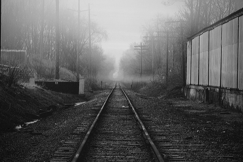 4K, transportation, no people, rail, day, vanishing point, railway, tree, rail transportation, parallel, long, plant, track, the way forward, growth, direction