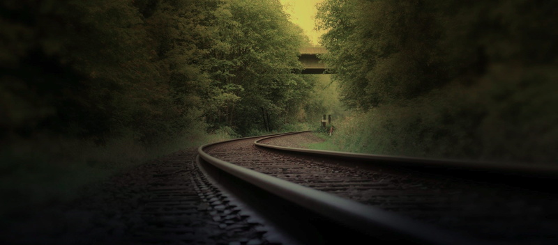 long, outdoors, railtrack, tree, no people, nature, trees, road, direction, tranquility, dark, woods, depth of field, daytime, land, photo, forest, travel