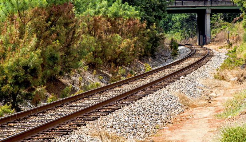 plant, perspective, bridge, amidst, land, line, parallel, growth, metal, public transportation, railroad track, no people, rocks, rail transportation, railways