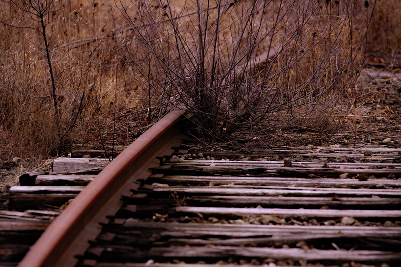 metal, wood - material, railroad, no people, surface level, selective focus, connection, nature, tranquility, the way forward, railroad track, day, railway