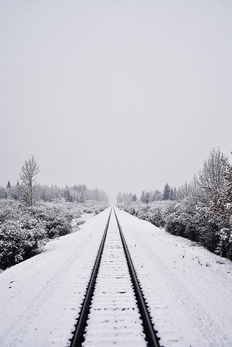parallel, train, plant, sky, diminishing perspective, trees, railtrack, 4K, snow, black, long, tree, outdoors, track, no people, daytime, transportation