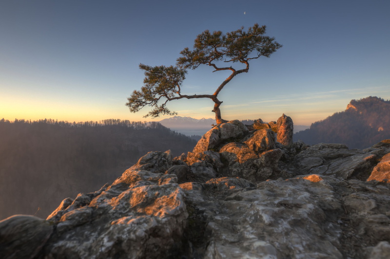tree, brown, sky, mountain Peak, outdoors, rock, sunset, forest, poland, daytime, sunrise - Dawn, mountain, 4K, rock - Object, green, landscape, nature