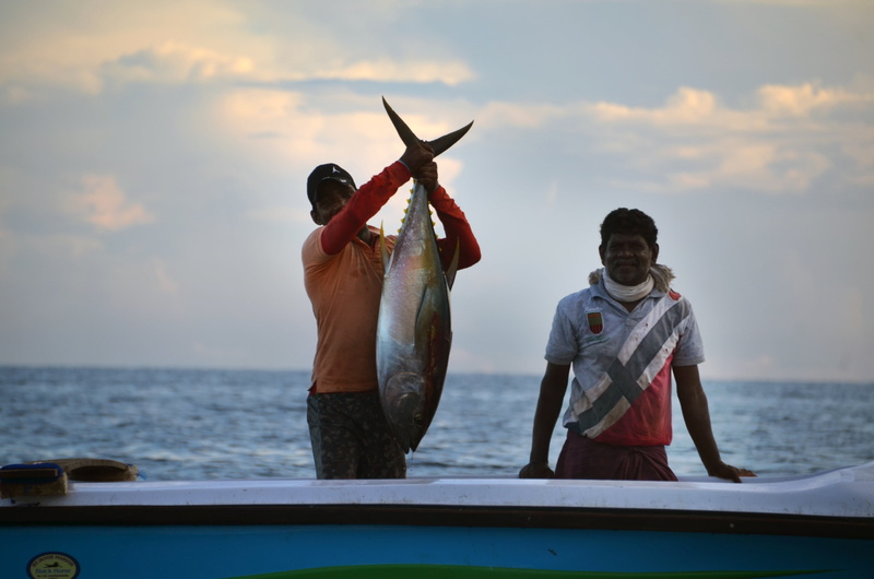 fischer, gray, cloud - sky, standing, sri lanka, fishing, holding, sea, tuna, white, nautical vessel, leisure activity, front view, people, boat, mode of transportation