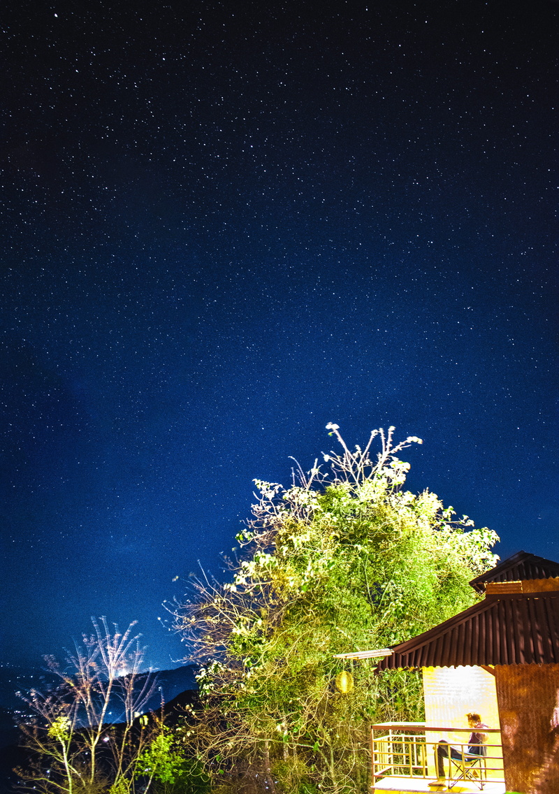 shelter, space, space and astronomy, outer space, countryside, plant, cabin, no people, rural, star, hut, low angle view, architecture, tree, shack, night