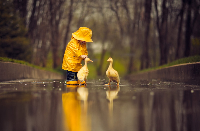 child, boy, goose, 1080P, little, raincoat, cute, reflection