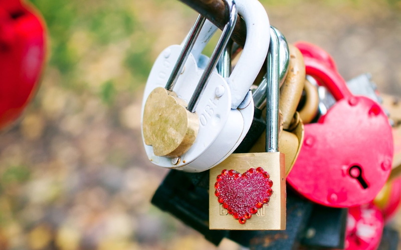 focus on foreground, wedding, heart, romance, freshness, outdoors, still life, symbol, color, creativity, plant, assorted, no people, padlocks, decoration