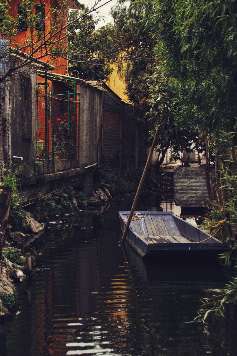 shack, nature, wood, reflection, building exterior, body, house, no people, rowboat, mexico, outdoors, 5K, day, vehicle, building, architecture, tree