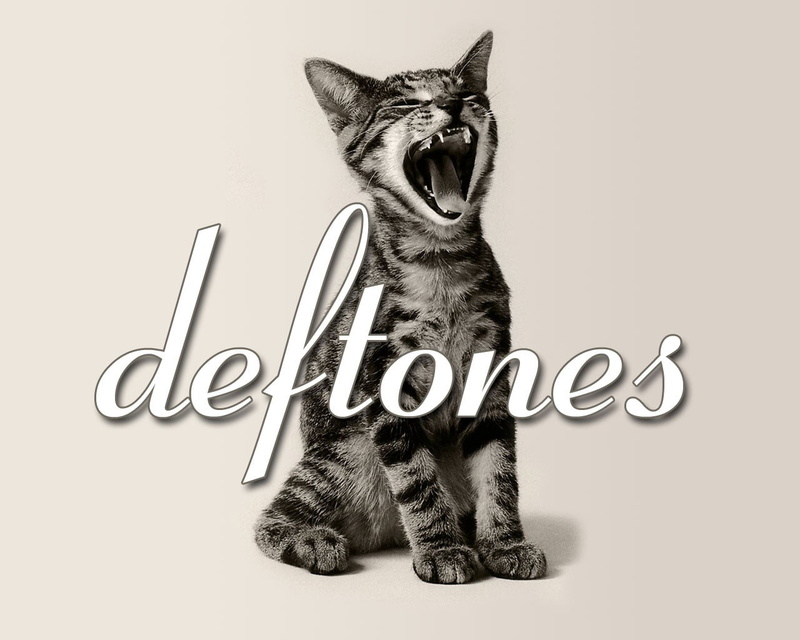 domestic, cut out, domestic cat, deftones, animal themes, 720P, animal, mouth open, vertebrate, cat, copy space, white background, text, whisker, feline