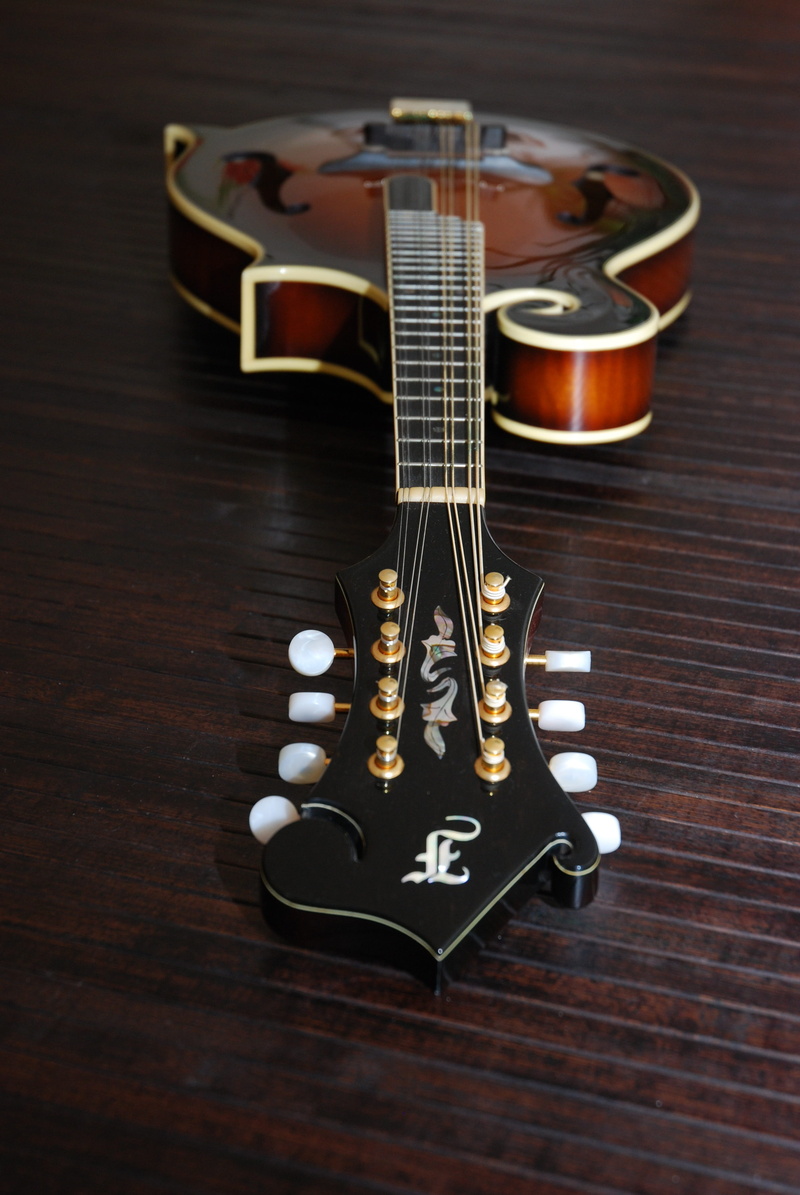 bluegrass mandolin, string, wood - material, musical instrument string, arts culture and entertainment, instrument, string instrument, still life, table