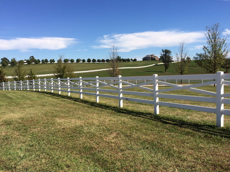 sports venue, green color, paddock, tree, tranquil scene, sky, Clouds, grass, barrier, boundary, 1080P, Fence, protection, no people, rural scene, plant