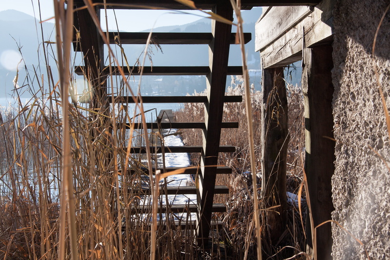 haze, no people, rest, growth, architecture, built structure, bluegrass, winter, 4K, wood stairs, plant, land, landscape, water, outdoors, damaged, reed