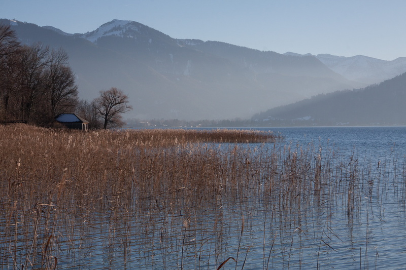 bluegrass, plant, tranquility, blue, panorama, tranquil scene, non-urban scene, mountain, water, phragmites australis, day, idyllic, bank, wintry, poaceae