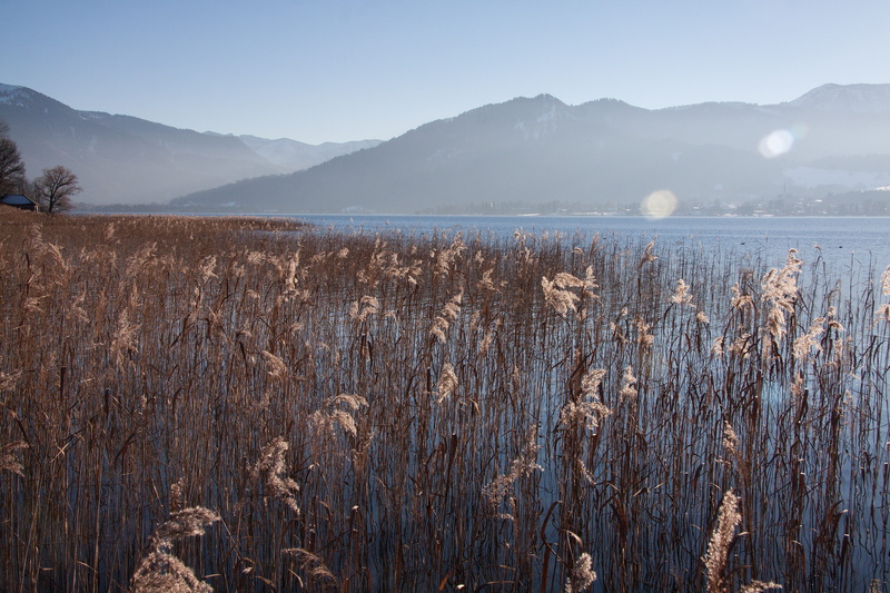 Bank, outdoors, landscape, growth, land, grass, haze, 4K, reed, nature, Sky, blue, scenics - nature, mountain range, plant, tranquil scene, no people