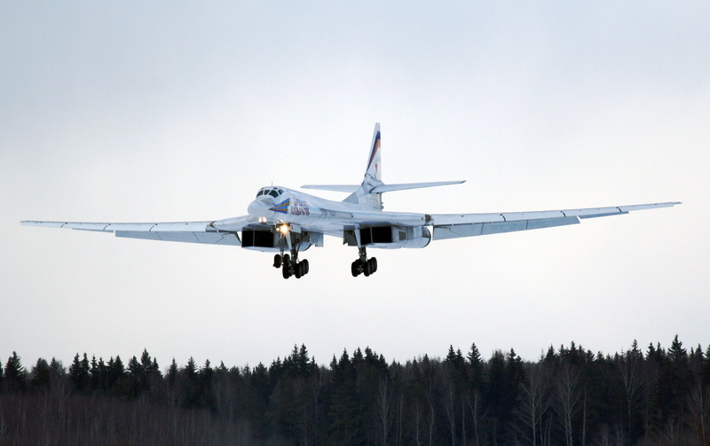 Strategic aircraft, transportation, travel, flying, plant, airplane, outdoors, nature, on the move, aerospace industry, journey, The Tu-160, Tupolev, tree
