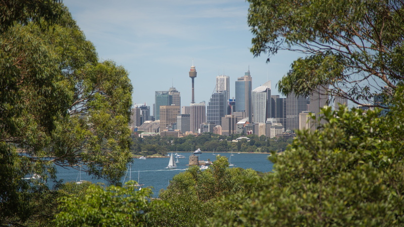 plant, office building exterior, landmark, building, 5K, yachts, australia, outdoors, river, vessel, no people, skyline, day, tree, sky, sea, harbour