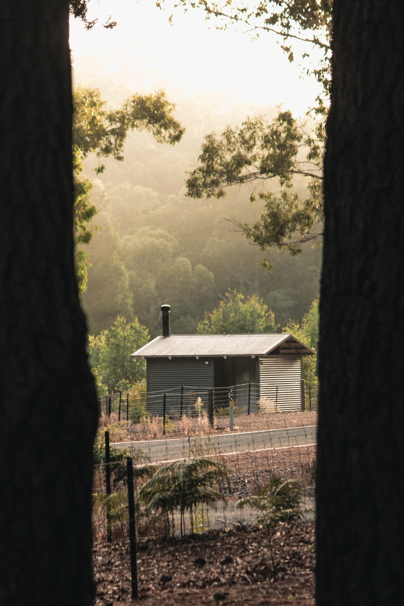field, cozy, window, no people, trees, tree, australia, bush, house, day, built structure, building, nature, sunlight, nanga mill campground, dwellingup