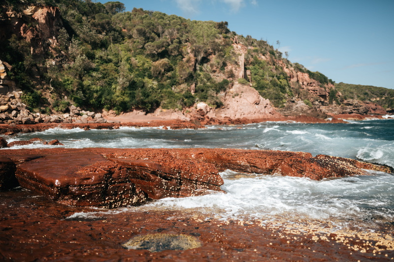 rocks, trees in background, australia, waves, barnacles, flowing water, land, mountain, nature, solid, merimbula, water, rock - object, green trees, sky