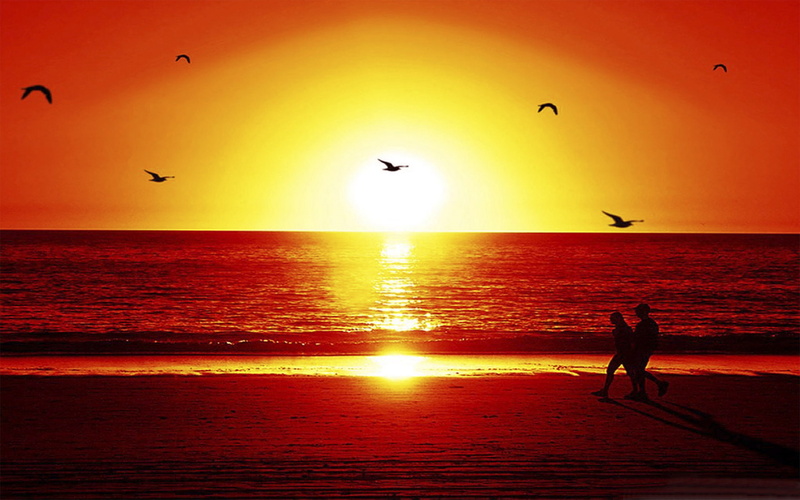 wallpapers, sunset, romantic, beach, 2K
