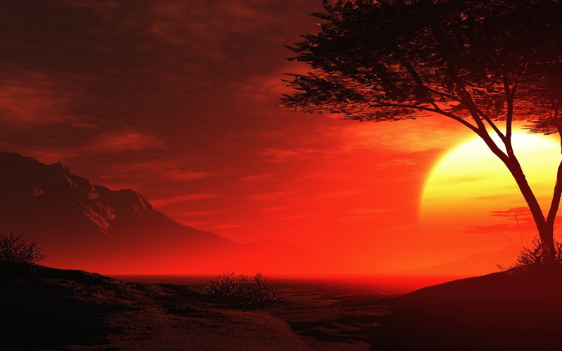 dramatic sky, tree, nature, beautiful, non-urban scene, tranquil scene, hd, bright, cloud - sky, summer, sky, scenics - nature, no people, sunset
