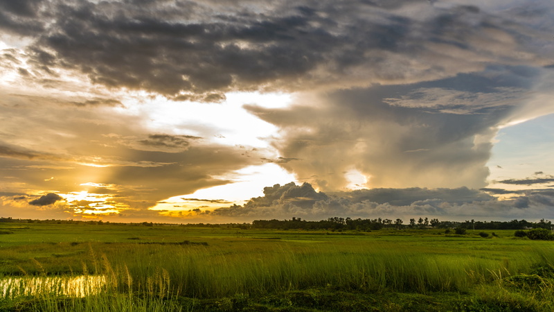 rain, goodweather, environment, bright, cloud - sky, instasunny, landscape, sun, sky, plant, golden, sunset, summer, sunlight, dramatic sky, sunrays, scenics - nature