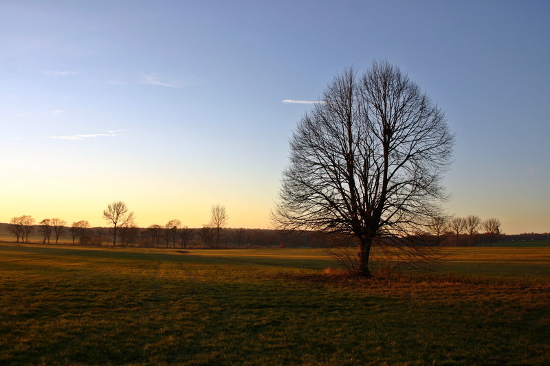 sunset, scenics - nature, beauty in nature, germany, plant, outdoors, idyllic, non-urban scene, sunlight, grass, tree, nature, cloud - sky, autumn motives