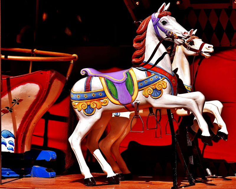 only men, pleasure, domestic, multi colored, Ride, arts culture and entertainment, domestic animals, art and craft, creativity, fairground, animal representation