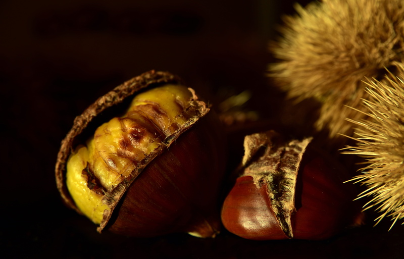 food and drink, edible, food, indoors, nature, 5K, nutrition, plant, chestnut - food, table, eat, brown, still life, maroni, chestnut, healthy eating
