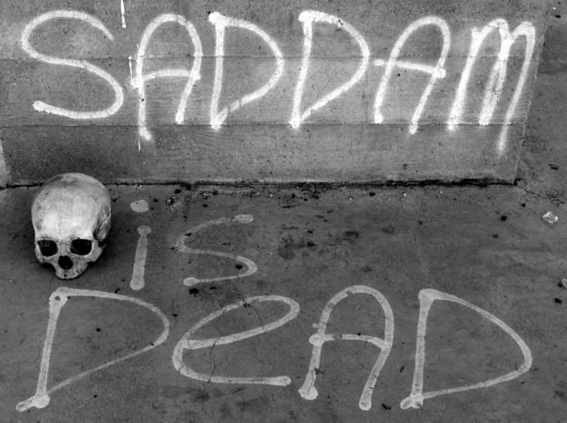 black and white, 1080P, text, saddam hussein, close-up, art and craft, outdoors, no people, saddam, death, high angle view, human skeleton, bandw, human