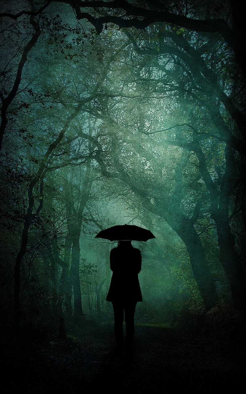 woodland, black, tree, one person, wet, security, holding, real people, standing, waiting, forest, rainy season, silhouette, nature, solitude, land, adult