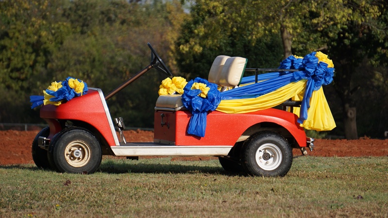 outdoors, wedding car, in addition to the house, flowering plant, pick-up truck, focus on foreground, motor vehicle, multi colored, yellow, land, flower