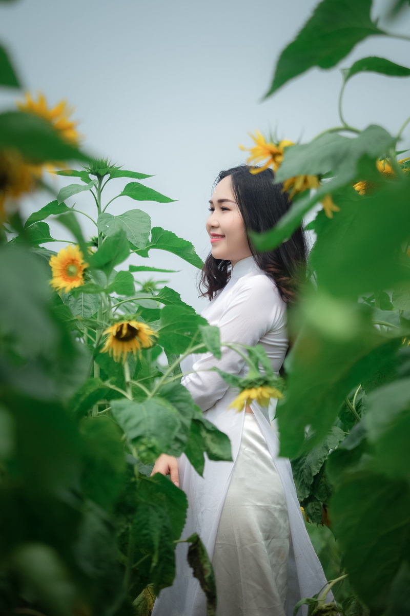 4K, traditional wear, pose, three quarter length, beauty, freshness, leaf, women, white dress, park, person, smiling, sunflowers, leaves, young adult