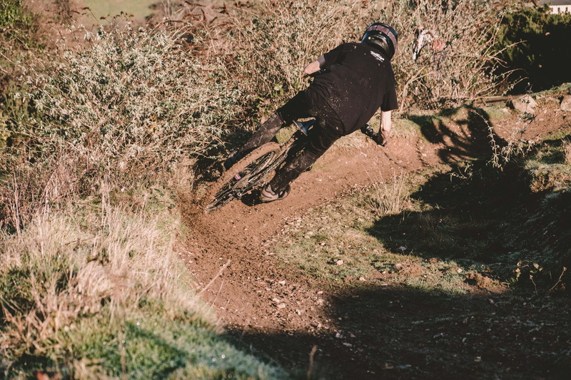 field, land, outdoors, mammal, sunlight, full length, skrt, nature, animals in the wild, animal themes, nos, day, animal, corner, grass, Mountain bike