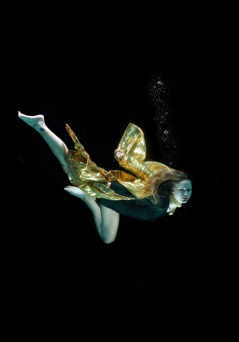 dress, digital composite, no people, coat, beauty, one animal, suffocation, animal themes, studio shot, side view, nature, indoors, mid-air, art, close-up